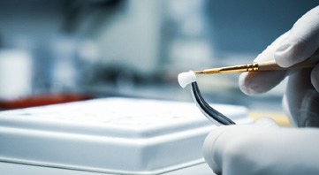 Dental crown being brushed